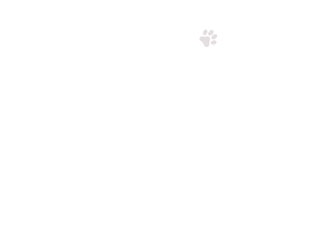 home-5_slider-1_09 image